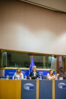 KK Bru 20 10 2018 parlament (1)