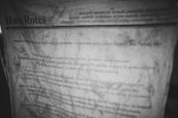 V KK 16 11 2019 BRU (62)